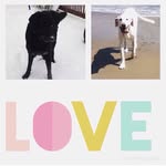 @buddy__cooper - Instagram