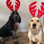 Buddy Cooper - @buddyncooper - Instagram