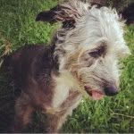 Buddy Cooper - @cooper_buddy - Instagram