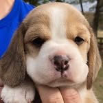 Buddy Cooper - @buddycooper4 - Instagram