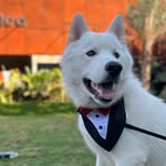 Buddy Cooper - @thebuddycooper - Instagram