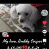 Buddy Cooper's mom - @buddycooper6 - TikTok