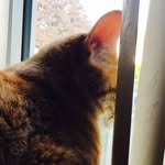 Buddy Shadow Cooper - @_buddy_cooper_ - Instagram