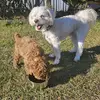 Buddy Y Cooper - @buddy.y.cooper - TikTok