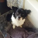@buddy.cotton - Instagram