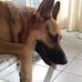 Buddy Cotton - Facebook