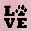 My Animals - @holly.nova.buddy.cotton - TikTok
