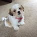 Buddy Dawson - Facebook