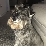 @_buddydean - Instagram