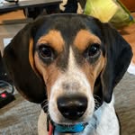 Buddy Dean - @buddy_has_speaker - Instagram