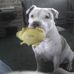 Buddy Dean - Facebook