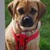 Buddy Dean - Facebook