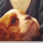Buddy Holly Dean - @buddydean2003 - Instagram