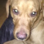 Buddy Driver - @buddy420blaze - Instagram