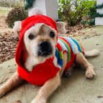 Buddy Douglas Duncan - @buddy_d23 - Instagram