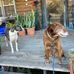 Buddy Duncan - Facebook