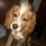 Buddy Duncan - @buddyduncan1 - Instagram