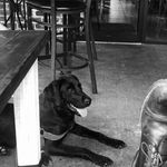 Buddy Duncan - @buddy_duncan2 - Instagram