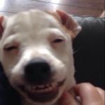Buddy Duncan - @buddy.17.05.16 - Instagram