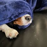 Buddy Duncan - @buddddstagram - Instagram