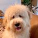 Buddy Love Duncan - Facebook