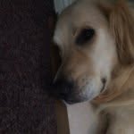 @buddyfuller - Instagram