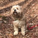 MrBuddyFuller - @mrbuddyfuller - Instagram