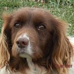 Albert Buddy Hoffman Jr. - @hoffmanjr.albert - Instagram