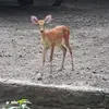 Aryan872666 - @buddy.hoffmann - TikTok