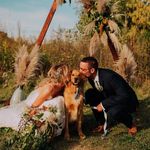 Buddy • The Golden Retriever - @buddy.thegolden.hoffman - Instagram