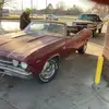 Hoffman’s Rod Garage - @buddyhoffman1 - TikTok