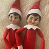 Buddy and Jolly - @buddyandjolly - TikTok
