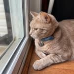 @buddy_jolly - Instagram