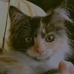 Buddy&Jolly - @bud_lly8 - Instagram