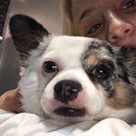 Buddy_lacey03 - @buddy_lacey03 - Instagram