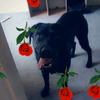 laceybuddy_1253 - @laceybuddy_1253 - TikTok