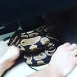 Buddy Lawrence - @buddy.lawrence - Instagram