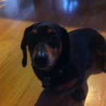 Buddy_lester - @buddy_lester - Instagram