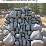 Lester Buddy - Facebook