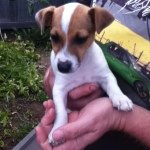Buddy Mason - @buddyrussel1 - Instagram