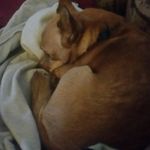 Buddy Mason - @buddy_mason2014 - Instagram