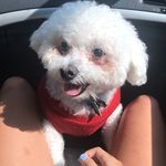Buddy Mason - @buddy_masonn - Instagram