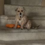 Buddy Mason - @buddy.masonn - Instagram