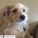 Buddy Mason - @buddymason67 - Instagram