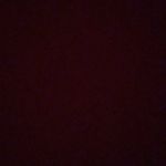 Buddy Mason - @hellobuddy_828288 - Instagram
