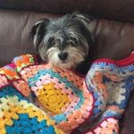 Buddy Mason Landini - @buddy_master__ - Instagram