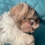 @buddymason2022 - Instagram