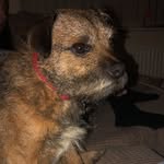 Buddy - @_buddy_may - Instagram