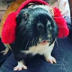 buddy May - @paulamay118 - Instagram