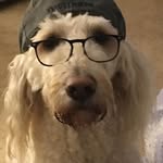 Buddy May - @buddymay13 - Instagram